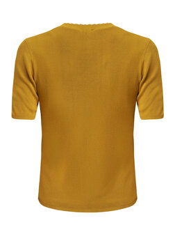 Mexx GERBERA Short sleeve knit - Yellow Brown