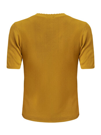 Mexx GERBERA Short sleeve knit - Yellow Brown