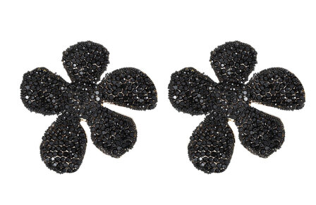 KN Oorknopjes I Sparkle black